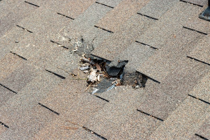 Damaged Roof Replacement in Smyrna, GA