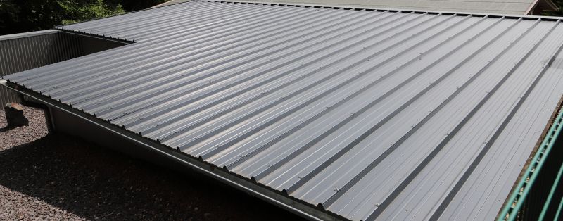 Tin Roof Installation in Haralson County, GA