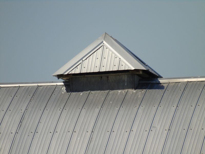 Tin Roof Installation in Lithia Springs, GA