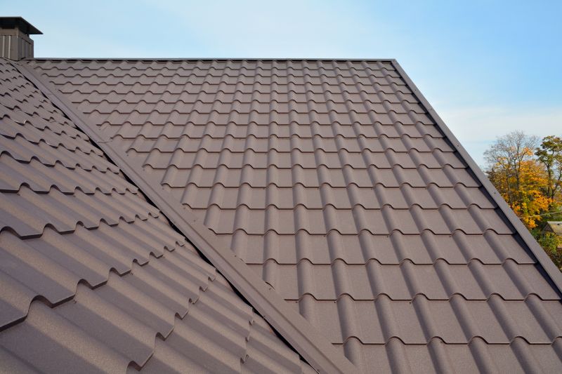 Tin Roof Installation in Temple, GA